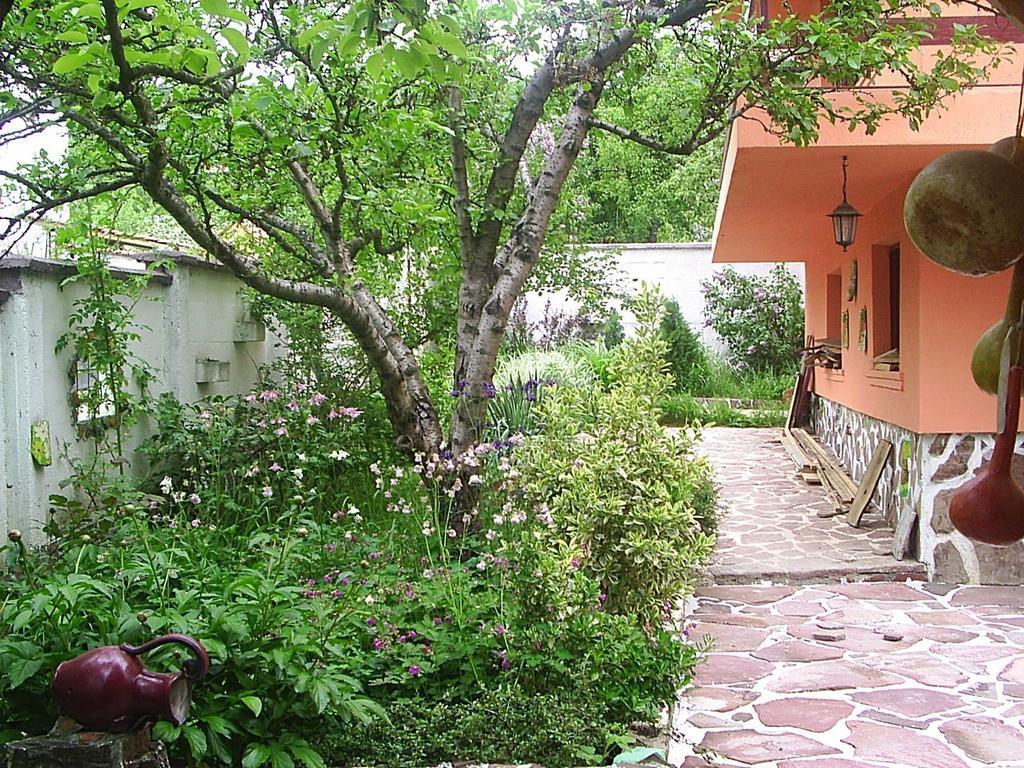 Hadjibulevata Guest House Kovachevtsi Extérieur photo